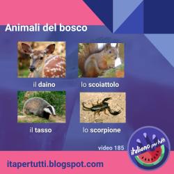 Gli animali che vivono nel bosco: https://www.youtube.com/watch?v=_FsG88RYrGM #itapertutti #lessico #italianoperstranieri #animali #bosco #natura