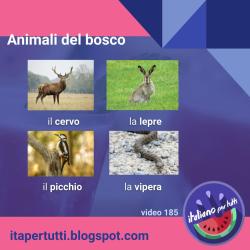 Tutti gli animali che vivono nei boschi: https://www.youtube.com/watch?v=_FsG88RYrGM #itapertutti #lessico #italianoperstranieri #animali #bosco #natura